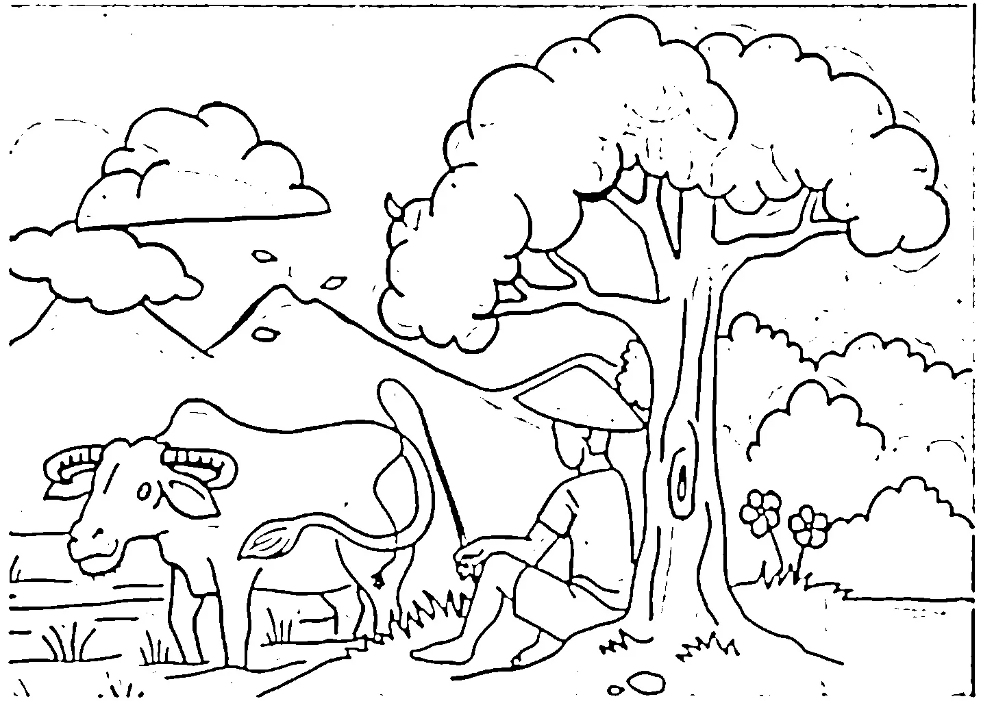 petani dan sapi di sawah